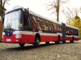 SOR NB18 CITY