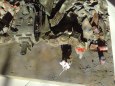 Spider mech