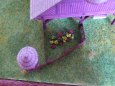 Staro�esk� chalupa