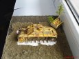 StuG III G 