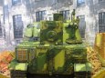 Sturmtiger / Answer + scratch/ 1:25 Kov��