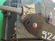 T 55