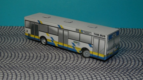 TAM BUS 