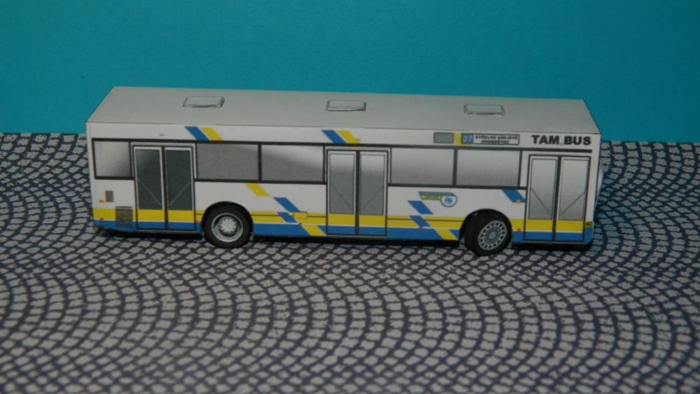 TAM BUS 