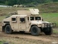 Tankov� den 2011, Le�any