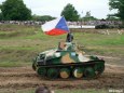 Tankov� den 2011, Le�any