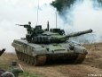 Tankov� den 2011, Le�any