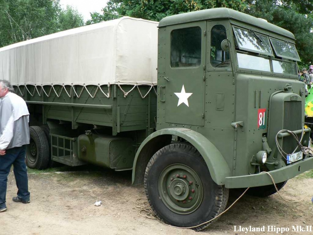 Tankov� den 2011, Le�any