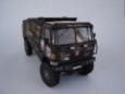 Tatra 815 - 2Z0 R45 12.400 4x4.1 Dakar 2012