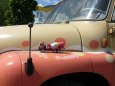 Tatra 815 autodom�ch�va� ZAPA/Alfik/