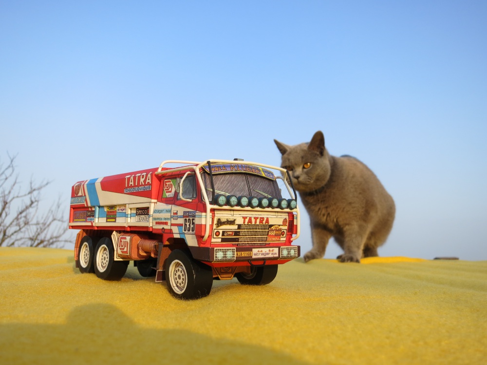 Tatra 815 VE Dakar 1986