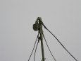 Tatra 815 PMS (b�ehov� d�l  + BZ-T815)