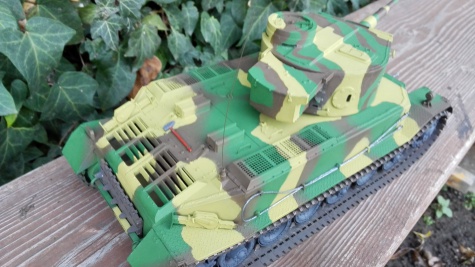 Tiger (P)