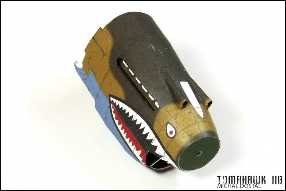 TOMAHAWK IIB (Plná velikost v novém okně) TOMAHAWK IIB