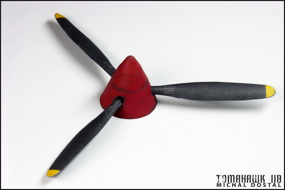TOMAHAWK IIB (Plná velikost v novém okně) TOMAHAWK IIB