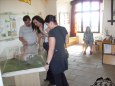 Hrad LICHNICE