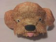 Toy Poodle