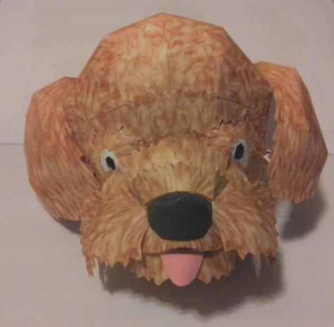 Toy Poodle Toy Poodle