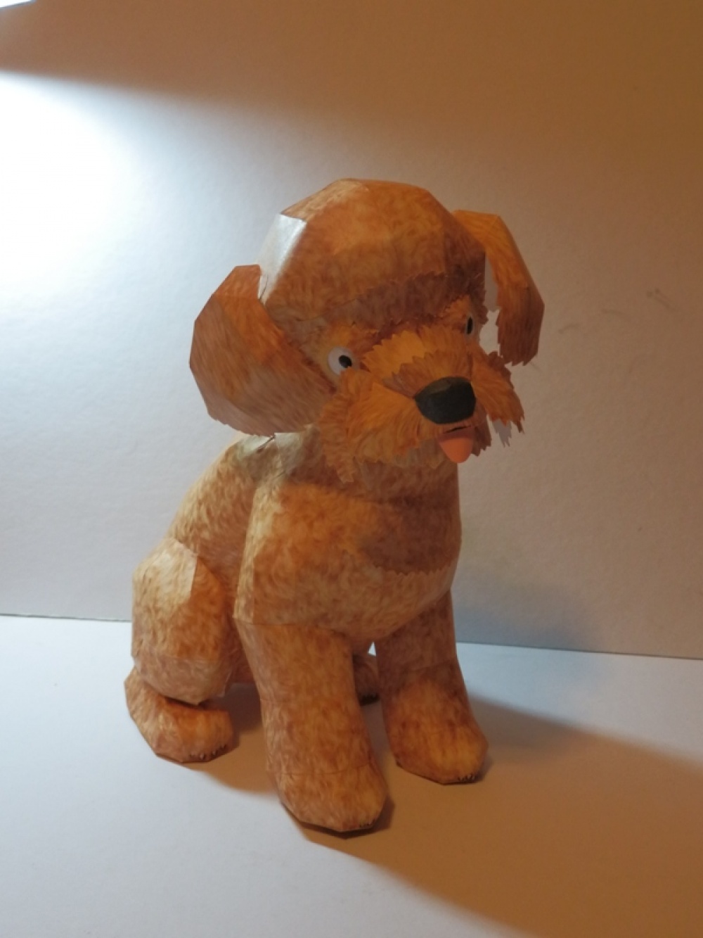 Toy Poodle (Plná velikost v novém okně) Toy Poodle