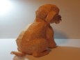 Toy Poodle