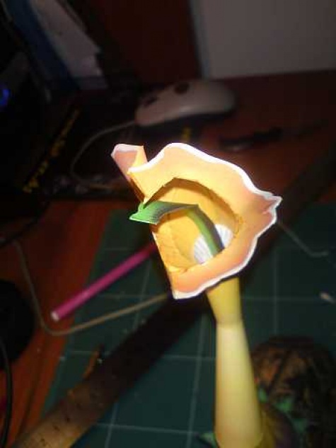 Trifid Trifid