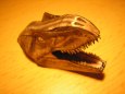 Tyrannosaurus rex