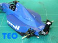 Tyrrell 018