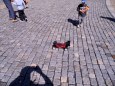 U� si zase hrajou + m�lnick� akce pro d�ti