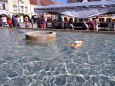U� si zase hrajou + m�lnick� akce pro d�ti