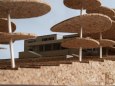 Vila Tugendhat
