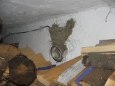 vla�tov�� hn�zdo