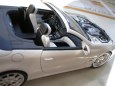 Vozov� park