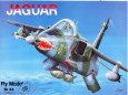 V�e od Fly model