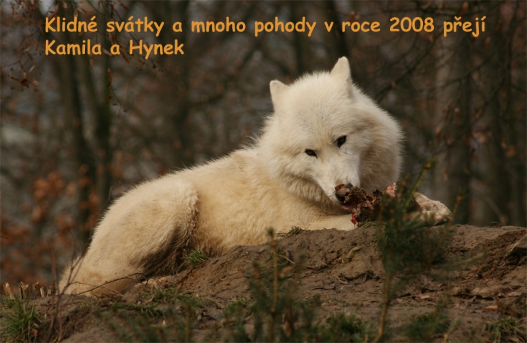 Všemožné blbosti (Plnďż˝ velikost v novďż˝m oknďż˝) Všemožné blbosti