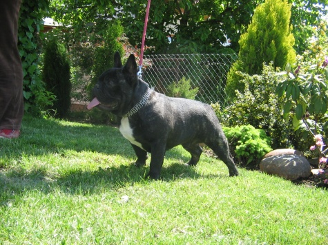vybor z dila