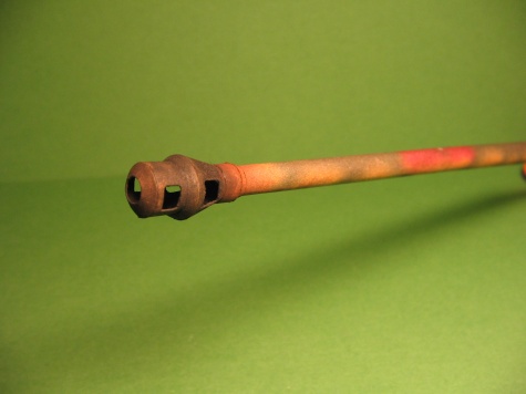 vykuchana kocicka