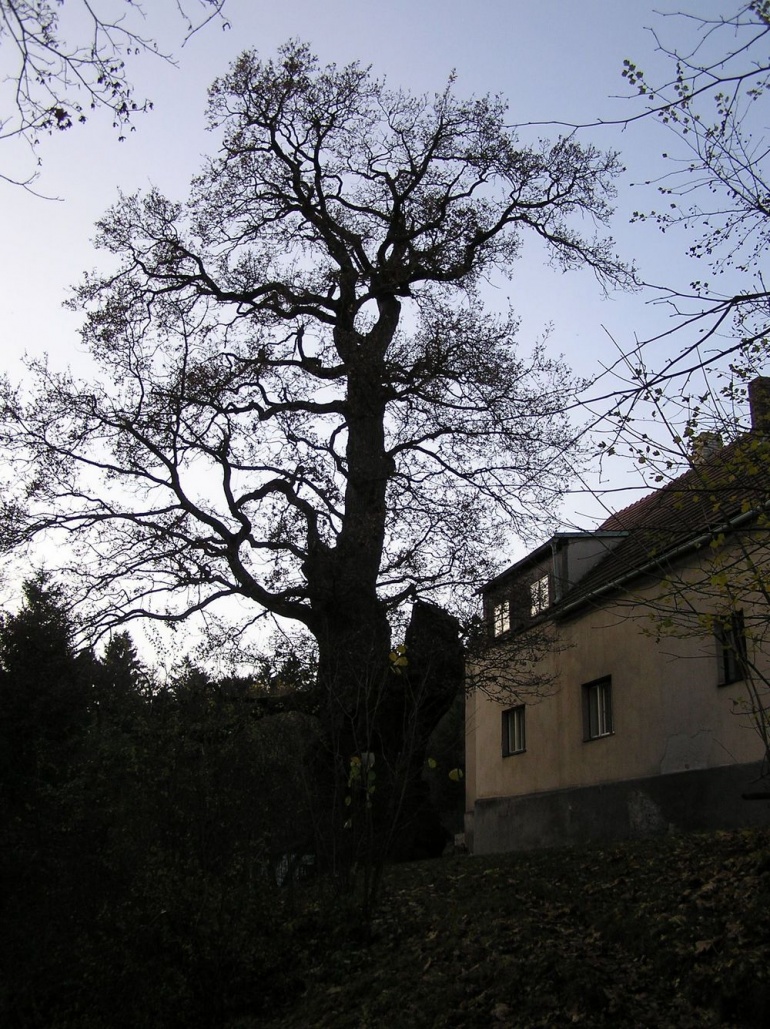 Výprava na hrad Lichnice (Plná velikost v novém okně) Výprava na hrad Lichnice