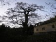 V�prava na hrad Lichnice