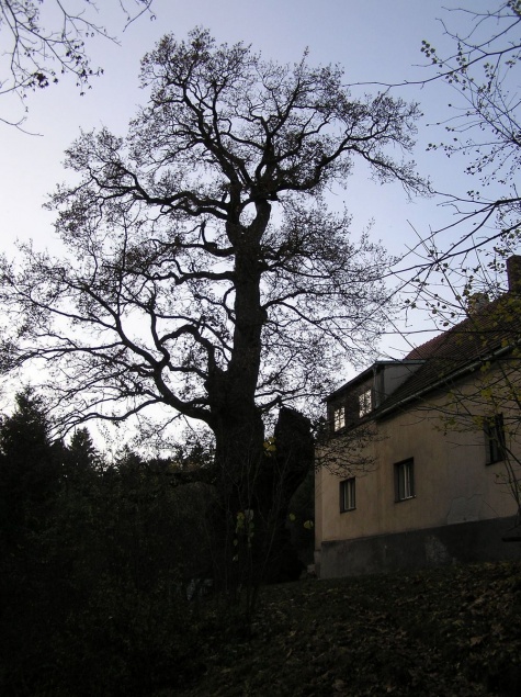 Výprava na hrad Lichnice Výprava na hrad Lichnice