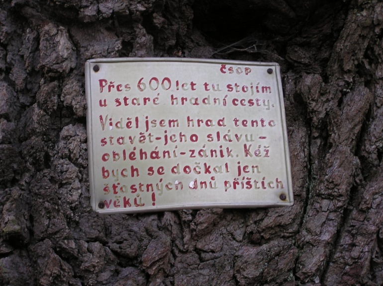 Výprava na hrad Lichnice (Plná velikost v novém okně) Výprava na hrad Lichnice