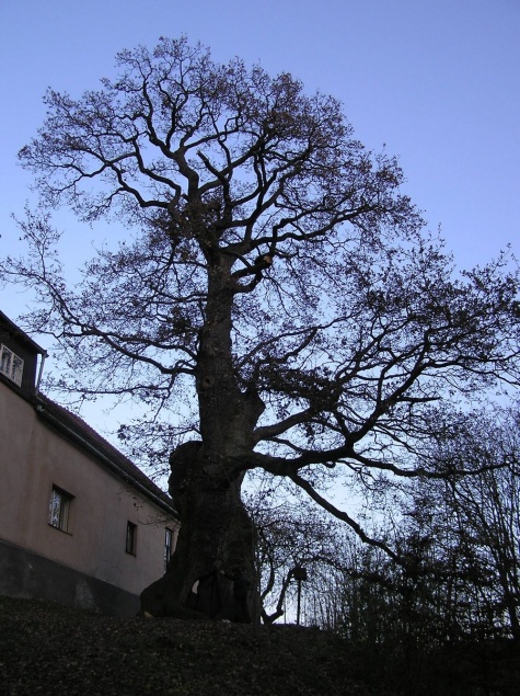 Výprava na hrad Lichnice Výprava na hrad Lichnice