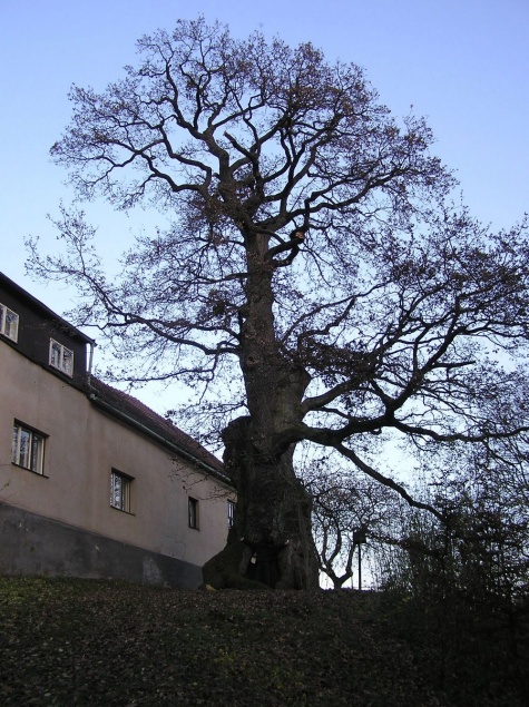 Výprava na hrad Lichnice Výprava na hrad Lichnice