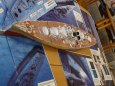 v�stava Kralupy