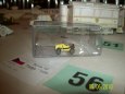 V�stava pap�rov�ch model� 5-6 �ervna MUZEUM Dv�r Kr�lov�