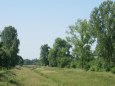V�stava Wolow 2013