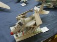 V�stava Wolow 2013
