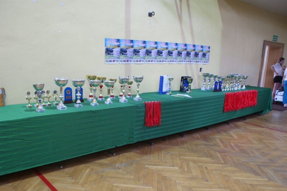 V�stava Wolow 2013