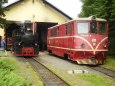 V�topna