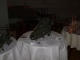 Warsztaty 2009 - Bielsko-Biala