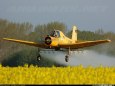 Z 37 �mel�k